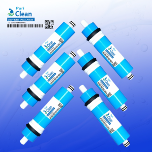 membrane
